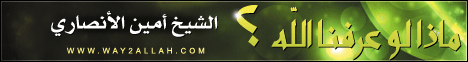 ماذا لو عرفنا الله (6-1-2013) لـالشيخ أمين الأنصاري - موقع الطريق إلى الله